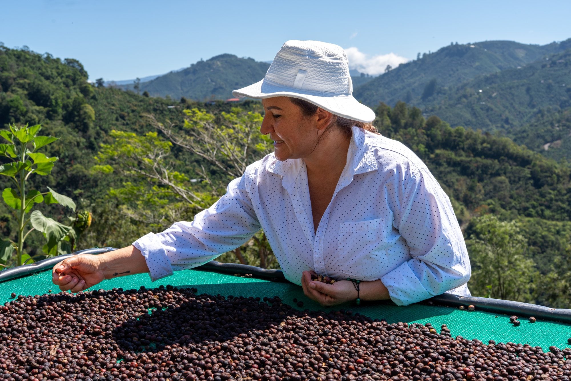 Seilyn turning cherries on the drying bed